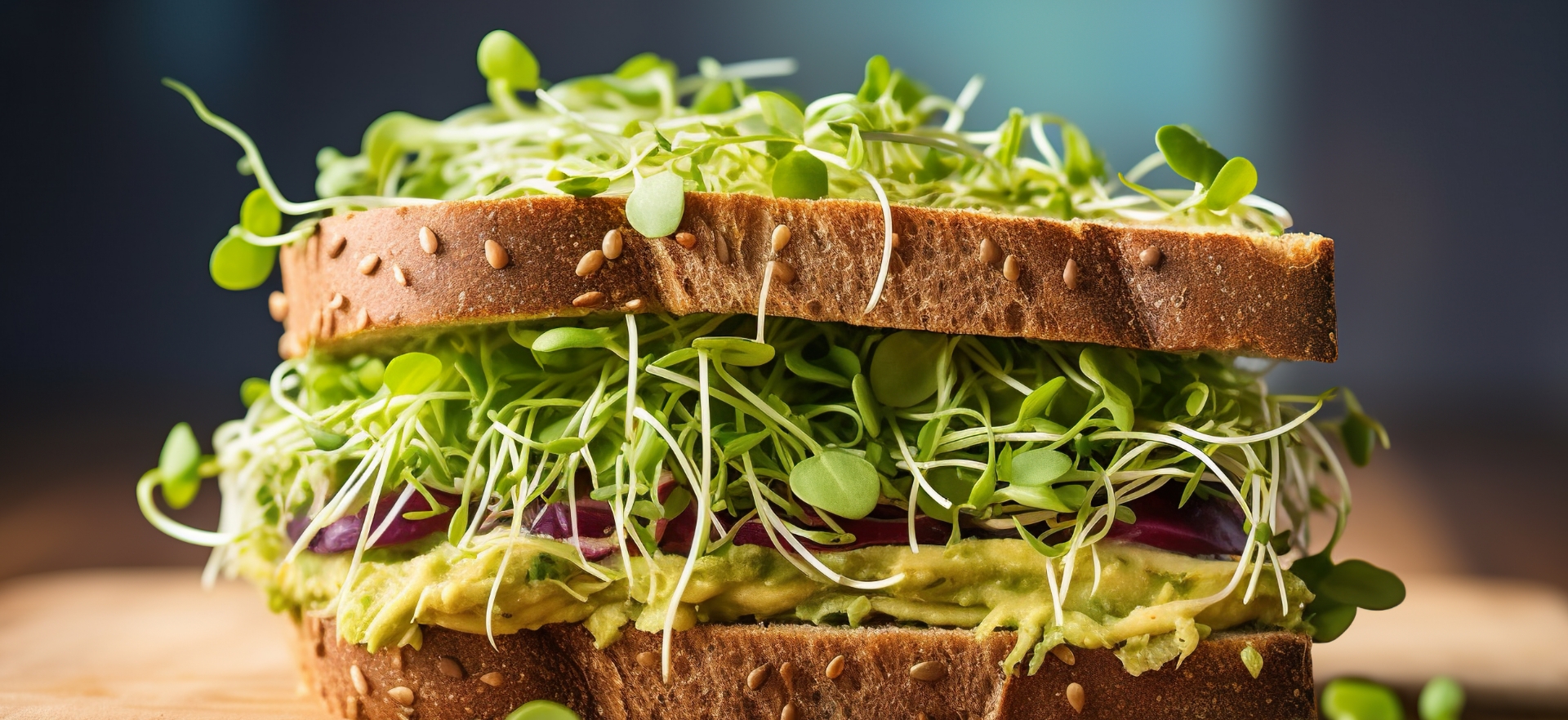 panino di microgreens